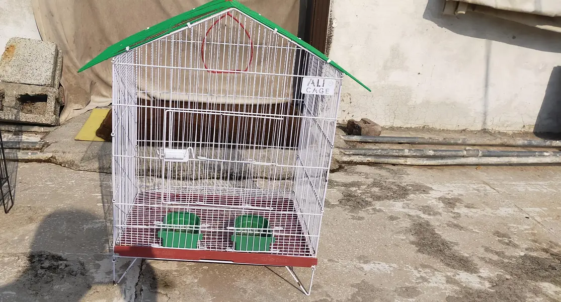 Three Cages — photo 7