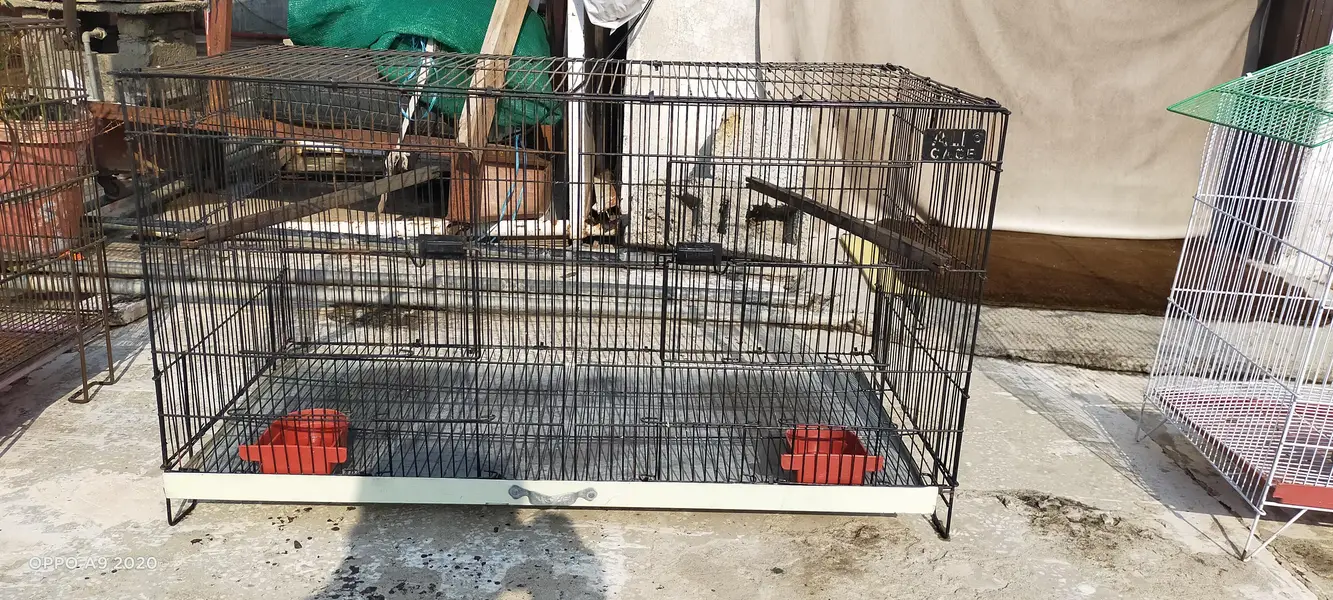 Three Cages — photo 8