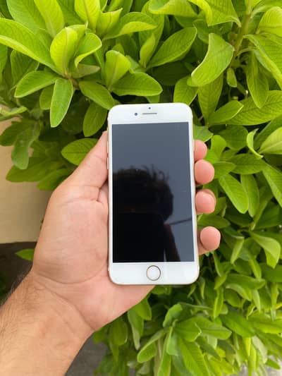 Apple iPhone 7 For Sell