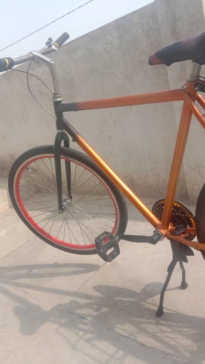 phoenix original frame cycle