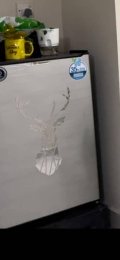 Room fridge