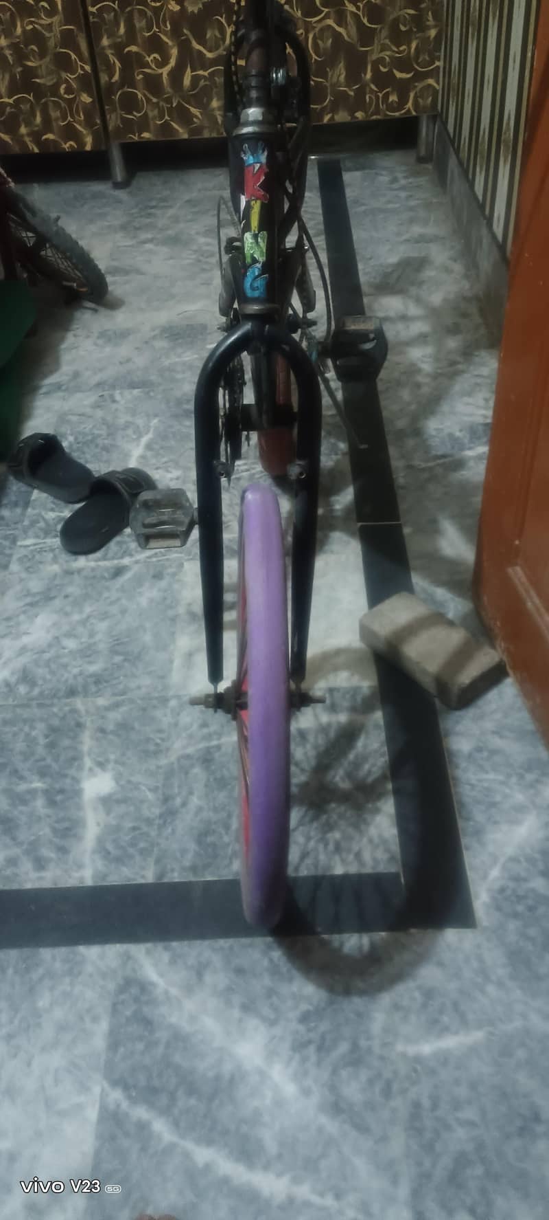 bicycle 2