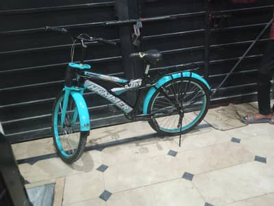cycle 24 size