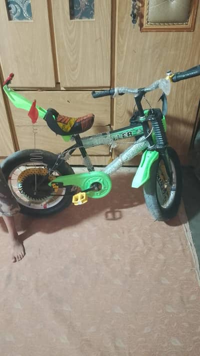 Kids Bicycle 16 Inch – Used but Excellent Condition