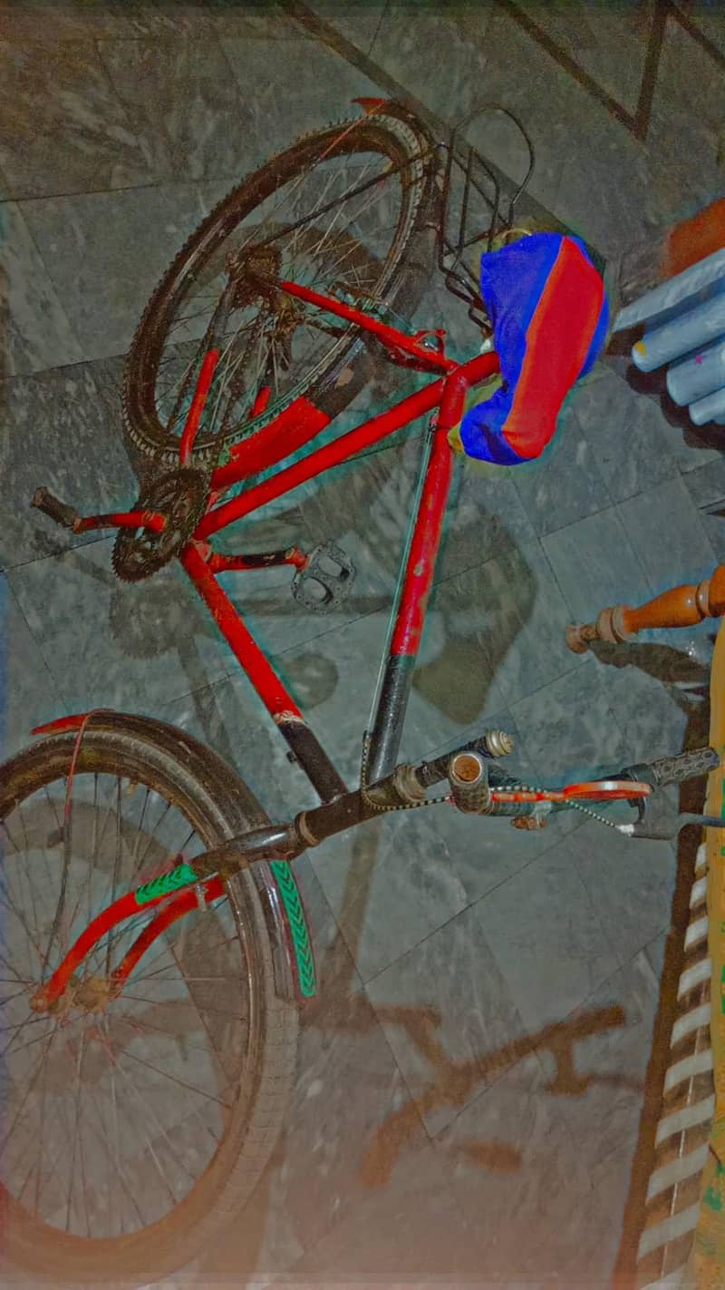 Cycle 1