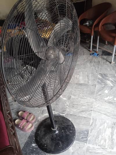 bikul Sahi Hy koi fault nhi hy model wahid fans 03246161878