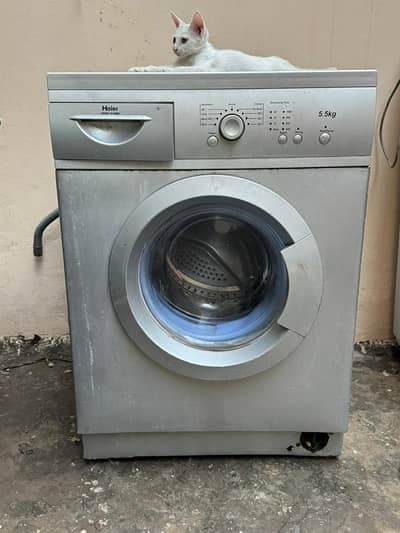 Haier 5.5 kg fully automatic front-load washing machine