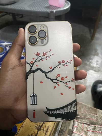 Apple iPhone 12 Pro Max