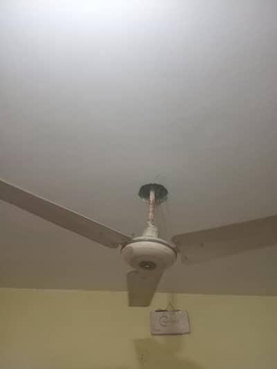 Fan | Copper |