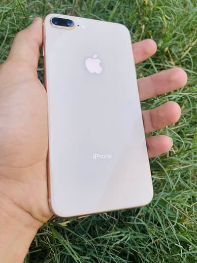 Apple iPhone 8 Plus official pta approved