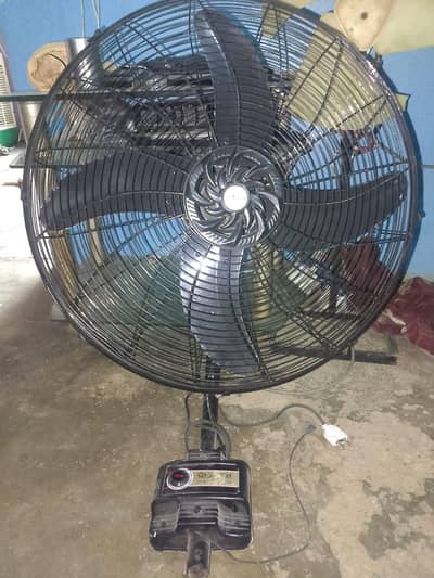 champion fan