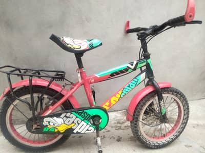 caspian cycle medium size with adjustable seat