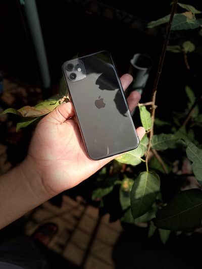 iphone 11 (64GB) JV