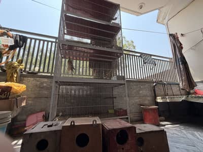 Cage with complete box iron pot