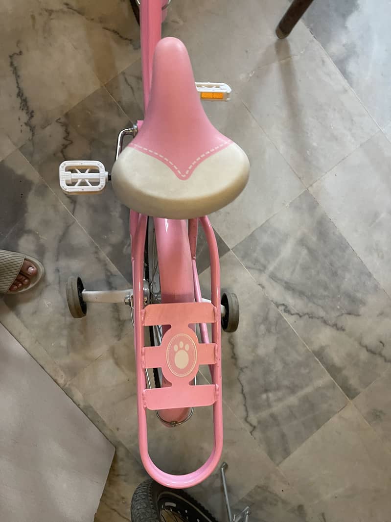 Bicycle 6