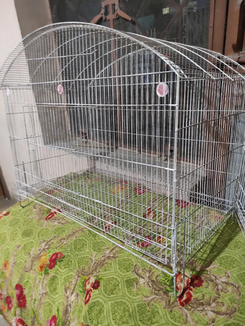 Neat and painted cages total 9