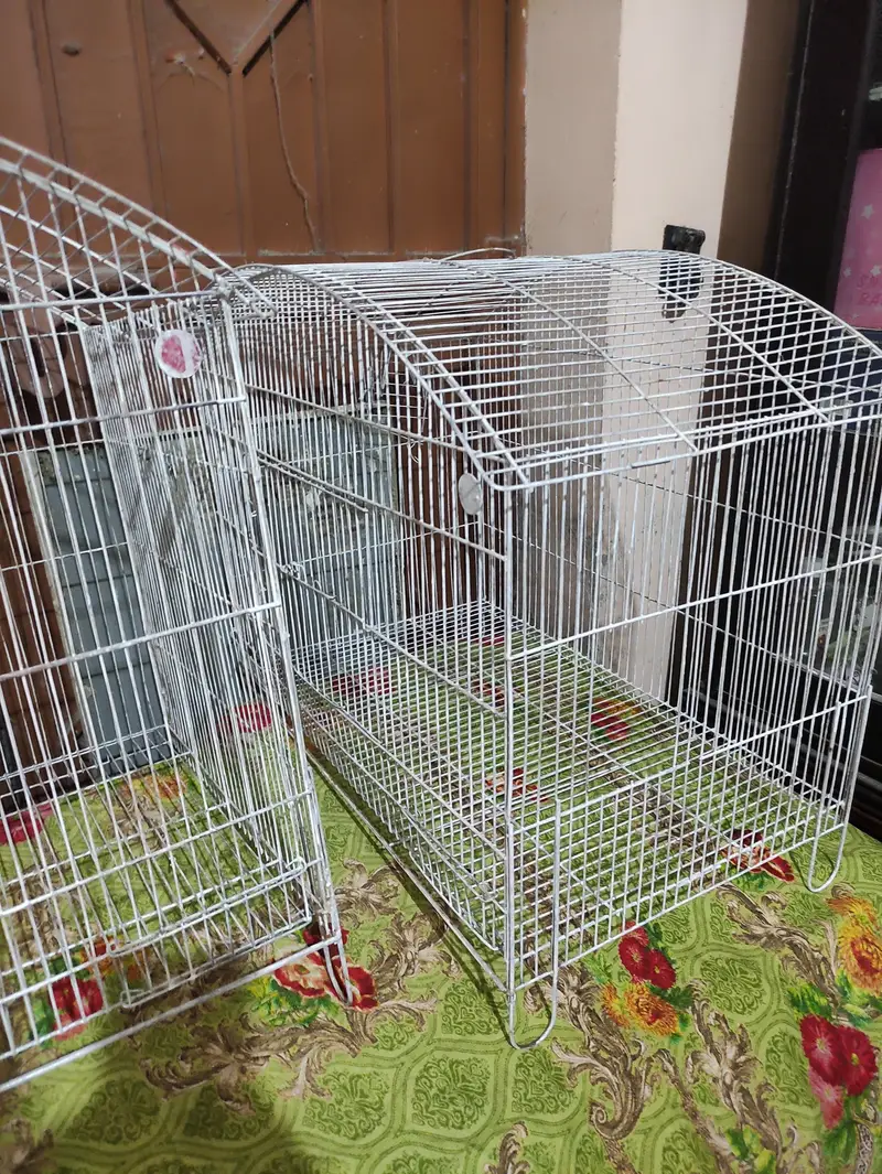 Neat and painted cages total 9 — photo 4