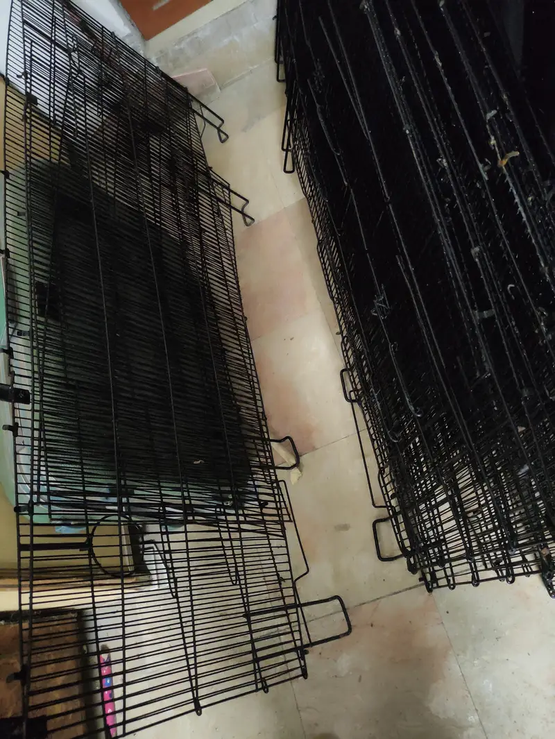 Neat and painted cages total 9 — photo 6