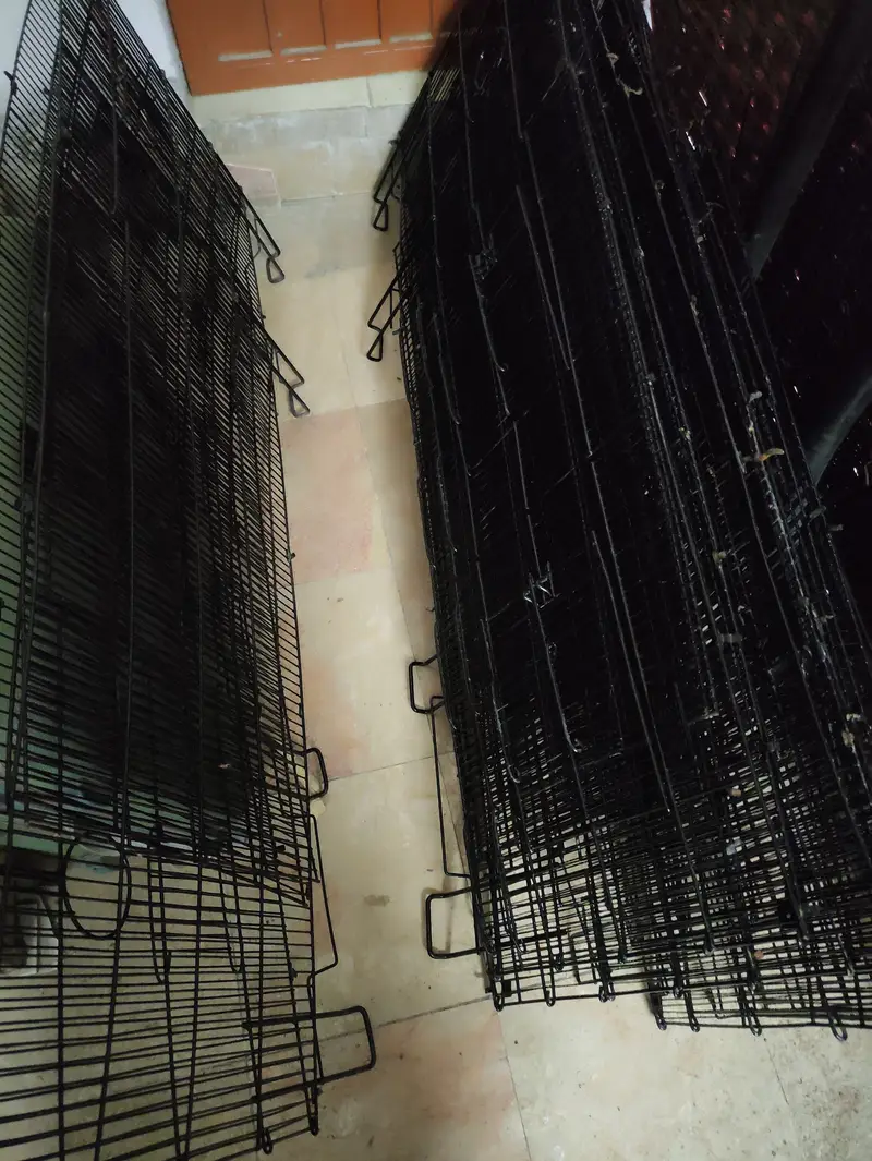 Neat and painted cages total 9 — photo 7