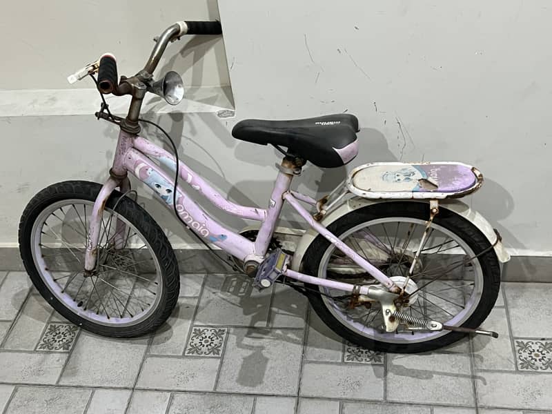 Cycle 0