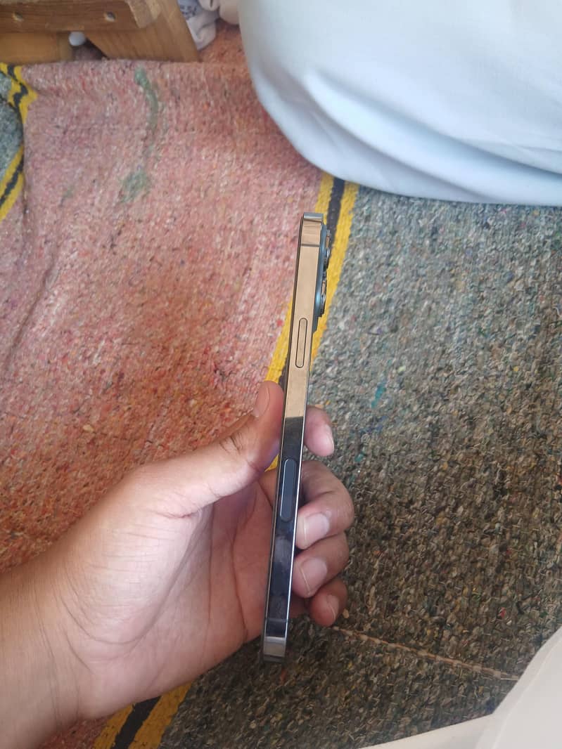 iPhone 13 Pro Max 3