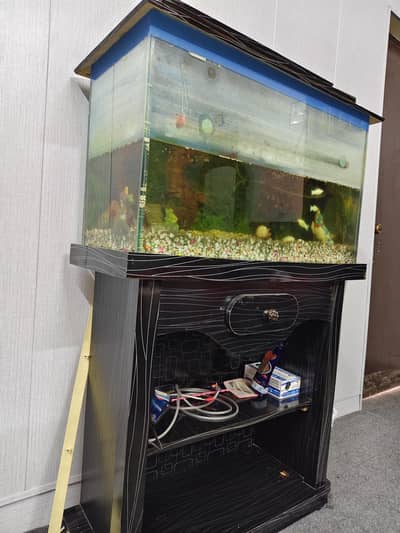 FISH TANK 10/10