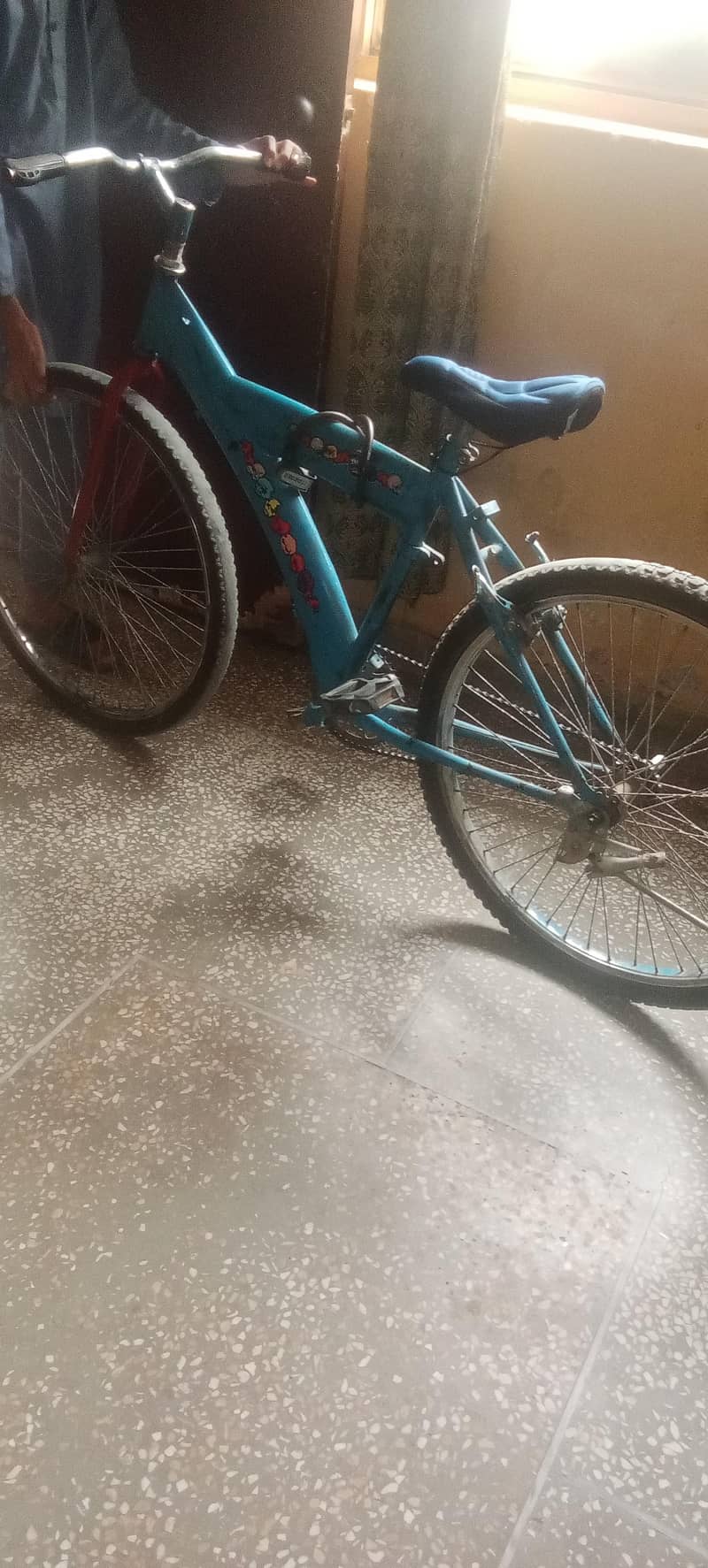 cycle 2