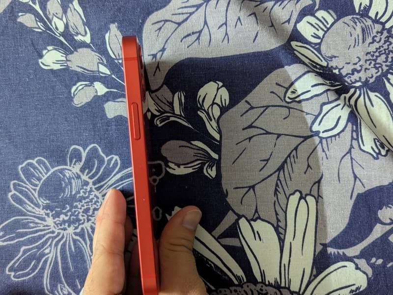 iPhone 12 mini 3
