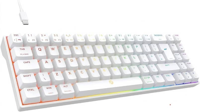 DREVO Calibur V2 Wired RGB Mechanical Gaming Keyboard – 71-Key Compact Layout, Detachable USB Type-C, Dual PC/Mac Support, and High-Precision Switches (White)