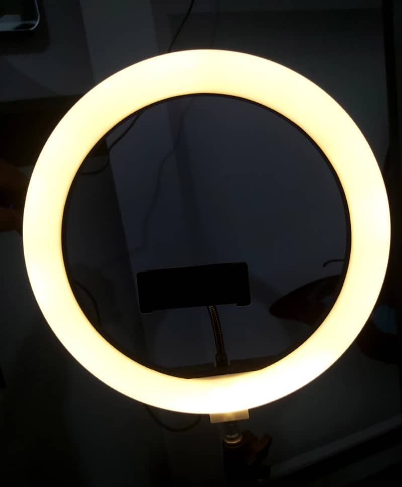 Ring Light with Stand 4