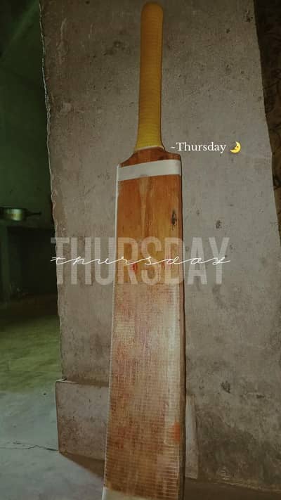 cricket bat
