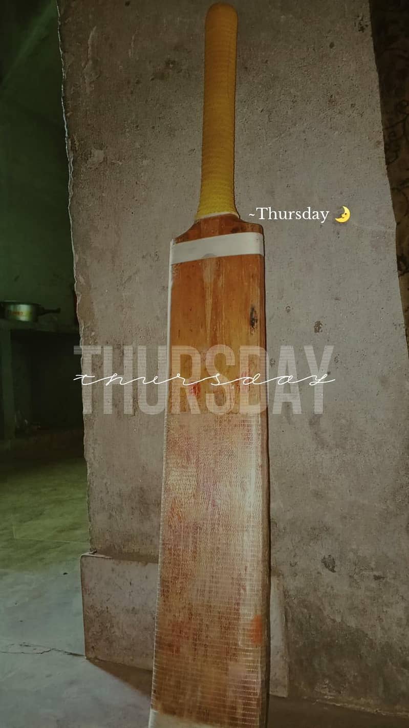 cricket bat 0