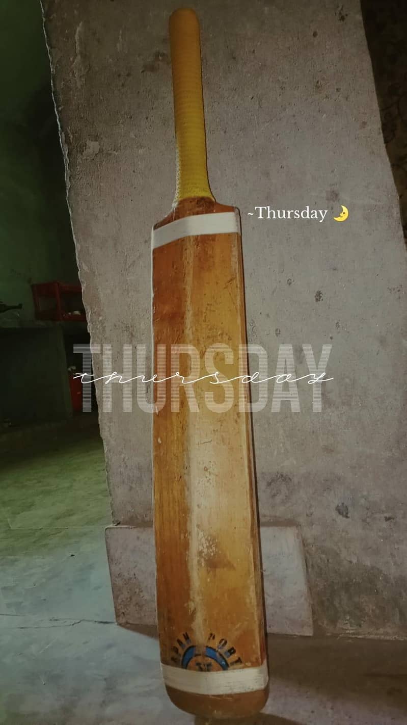 cricket bat 1