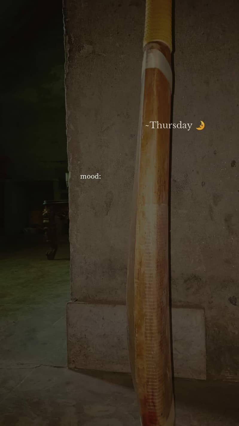 cricket bat 2