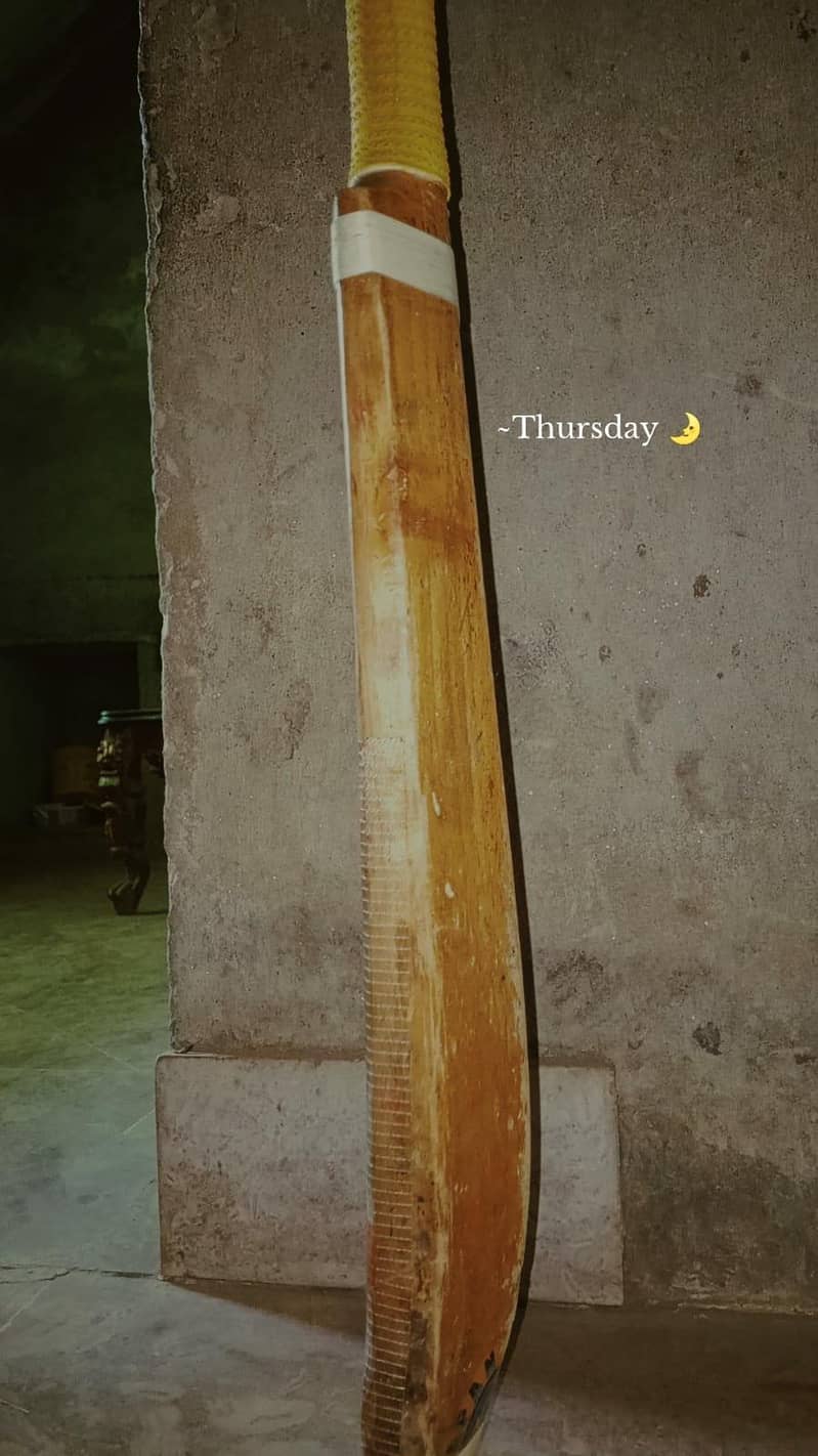 cricket bat 3