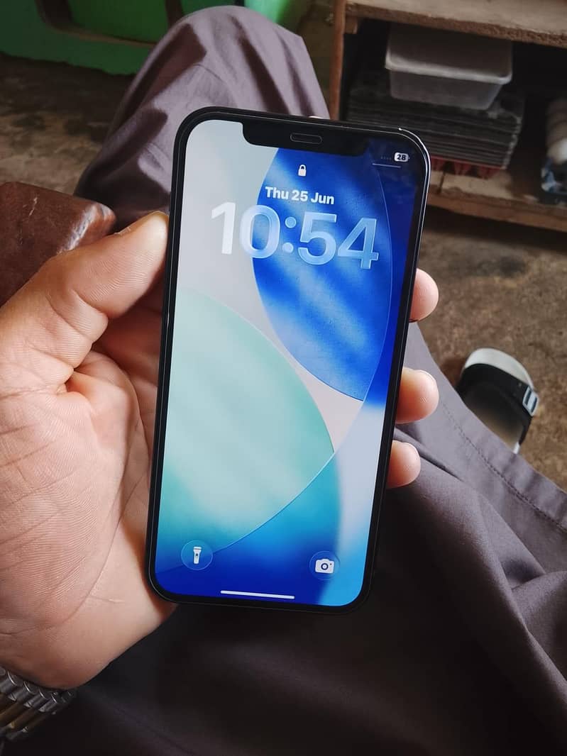 Apple iPhone 12 0