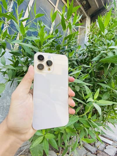 Apple iPhone 14 Pro Max 256
