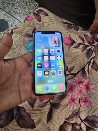 Apple iPhone X