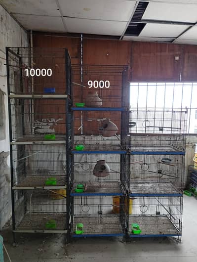 birds cages, boxes and matkiyan