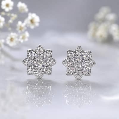 Silver Nose Pin/Tops