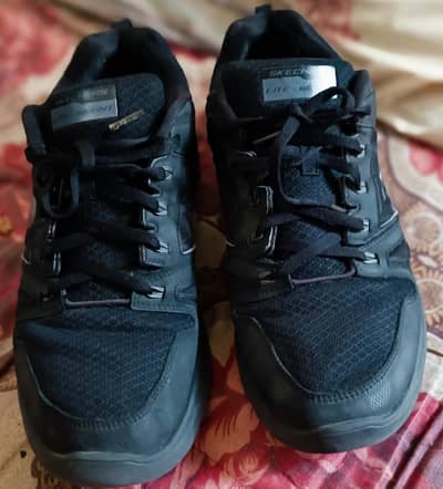 skcehers lite weight shoes 100% orignal size euro 46 uk 11