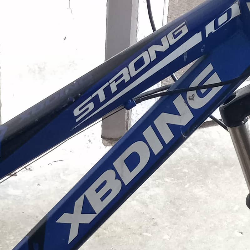 XBDING CYCLE 1
