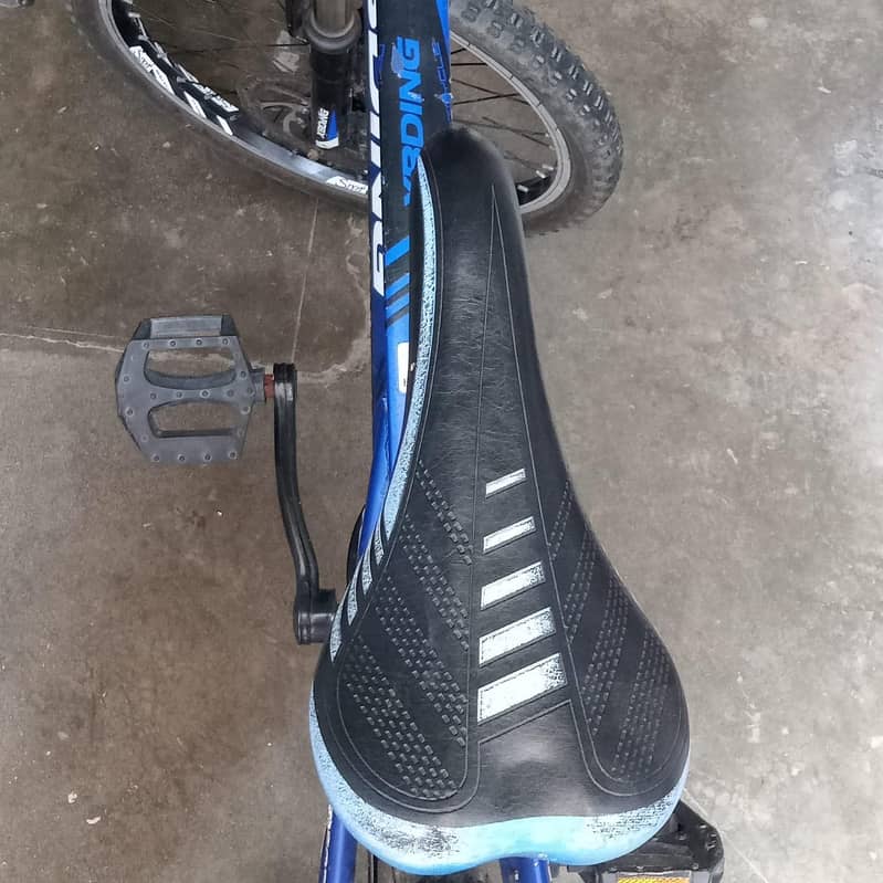 XBDING CYCLE 2