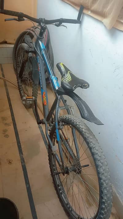Cycle for sale