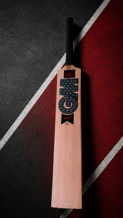 GM Kashmir Willow Cricket Bat – Brand New | Ideal for Beginners