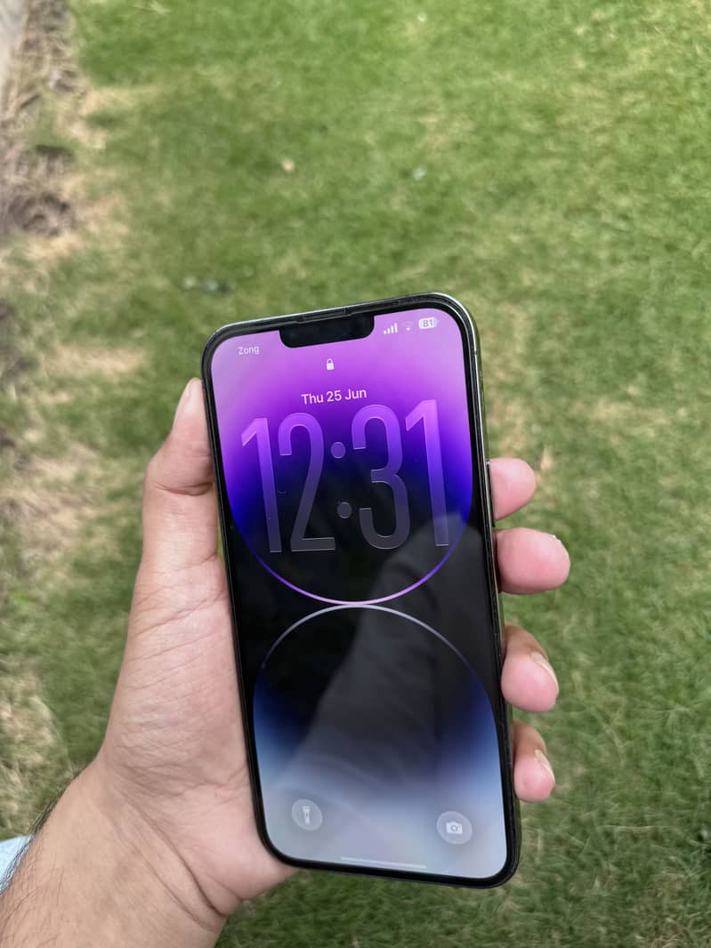 iPhone 13 Pro Max 1