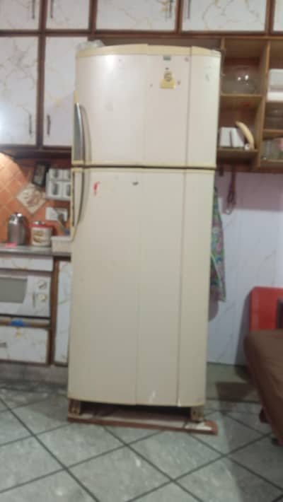 Large size peL good condition burf hi burf3-0-0-4-2-7-4-5-6-8