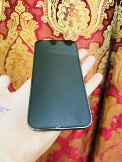 Apple iPhone 12 Pro