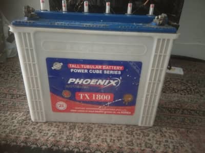 TX1800 tall Tublar battery