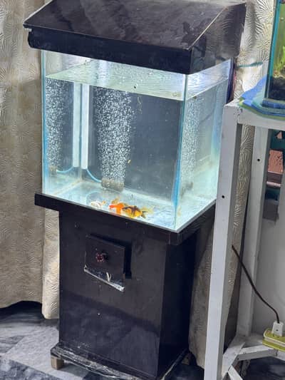 Aquarium 1.5 feet